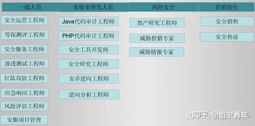網(wǎng)絡(luò)安全與軟件開發(fā) 未來(lái)十年的黃金賽道與歷史鏡鑒